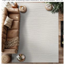 New Big Area Rug, stain resistant 10 x 14