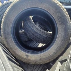 Bridgestone 20 Inch Tires