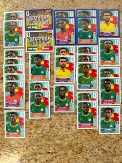 FIFA World Cup Paninj Stickers