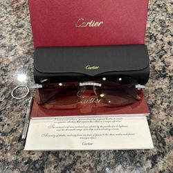 Wood Buff Sunglasses Rimless Lenses Brown Tint Sliver