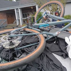 Diamondback Division