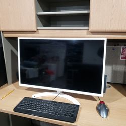 32 Inch LG Computer Monitor 