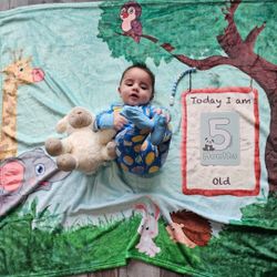 Baby Milestone Blanket And Cards