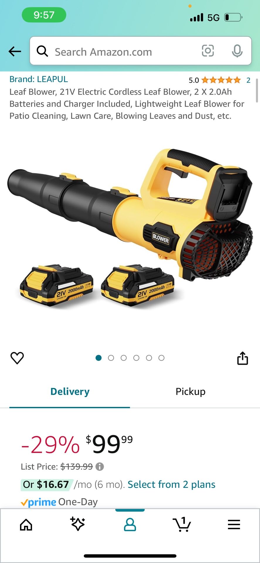 Leaf Blower With 2 Batteries