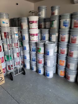 Paint and primer
