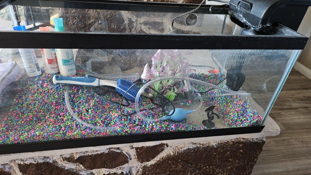 20 Gallon Fish Tank 