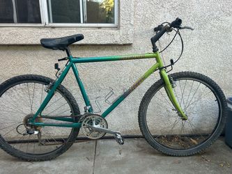 Vintage Specialized RockHopper comp