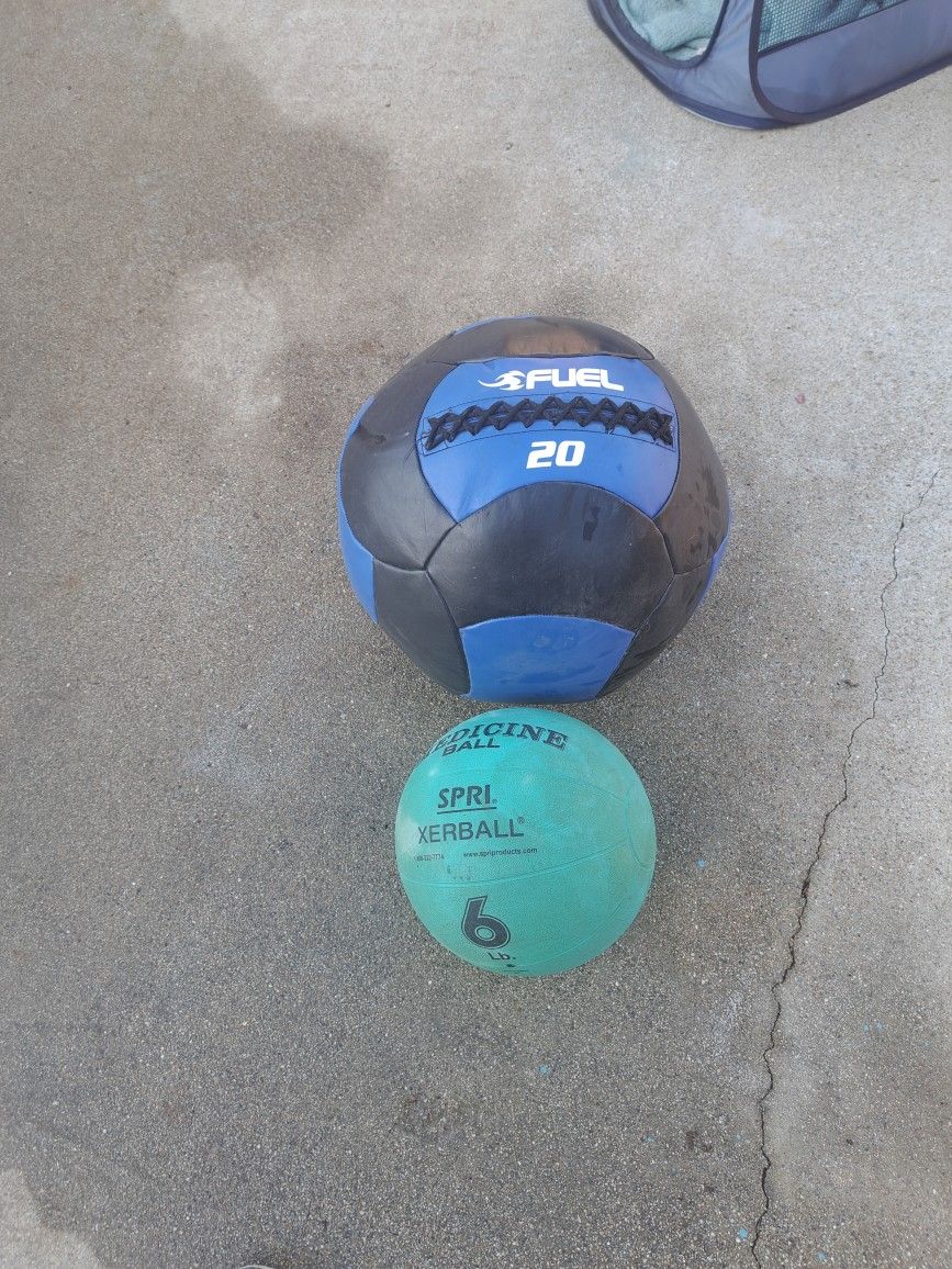 Rogue Medicine Ball
