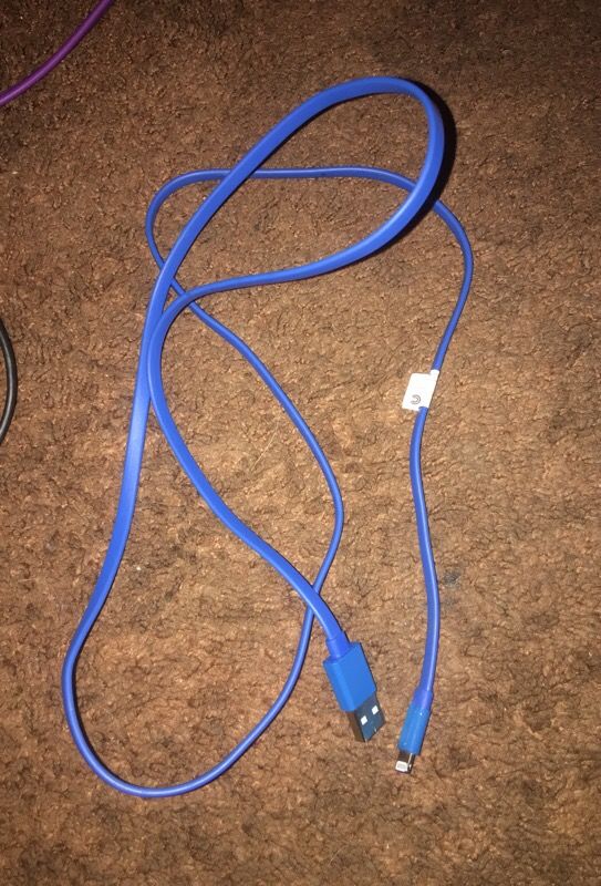 iPhone charger