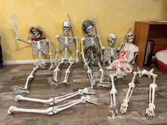 Life-Size Plastic Skeleton Lot and Parts
