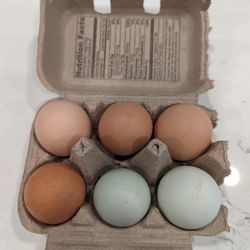 Farm Fresh Eggs