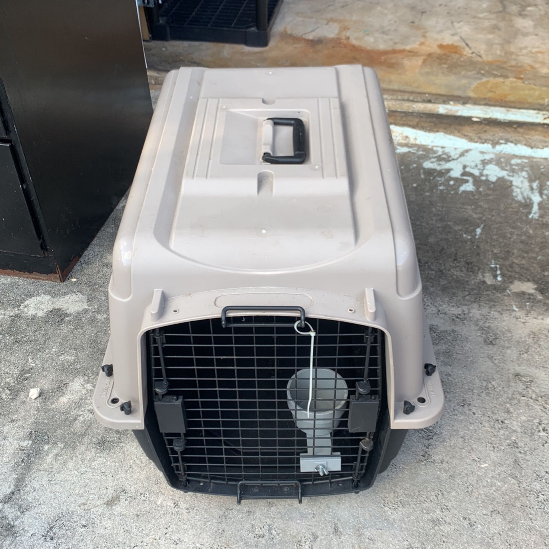 Dog Carrier
