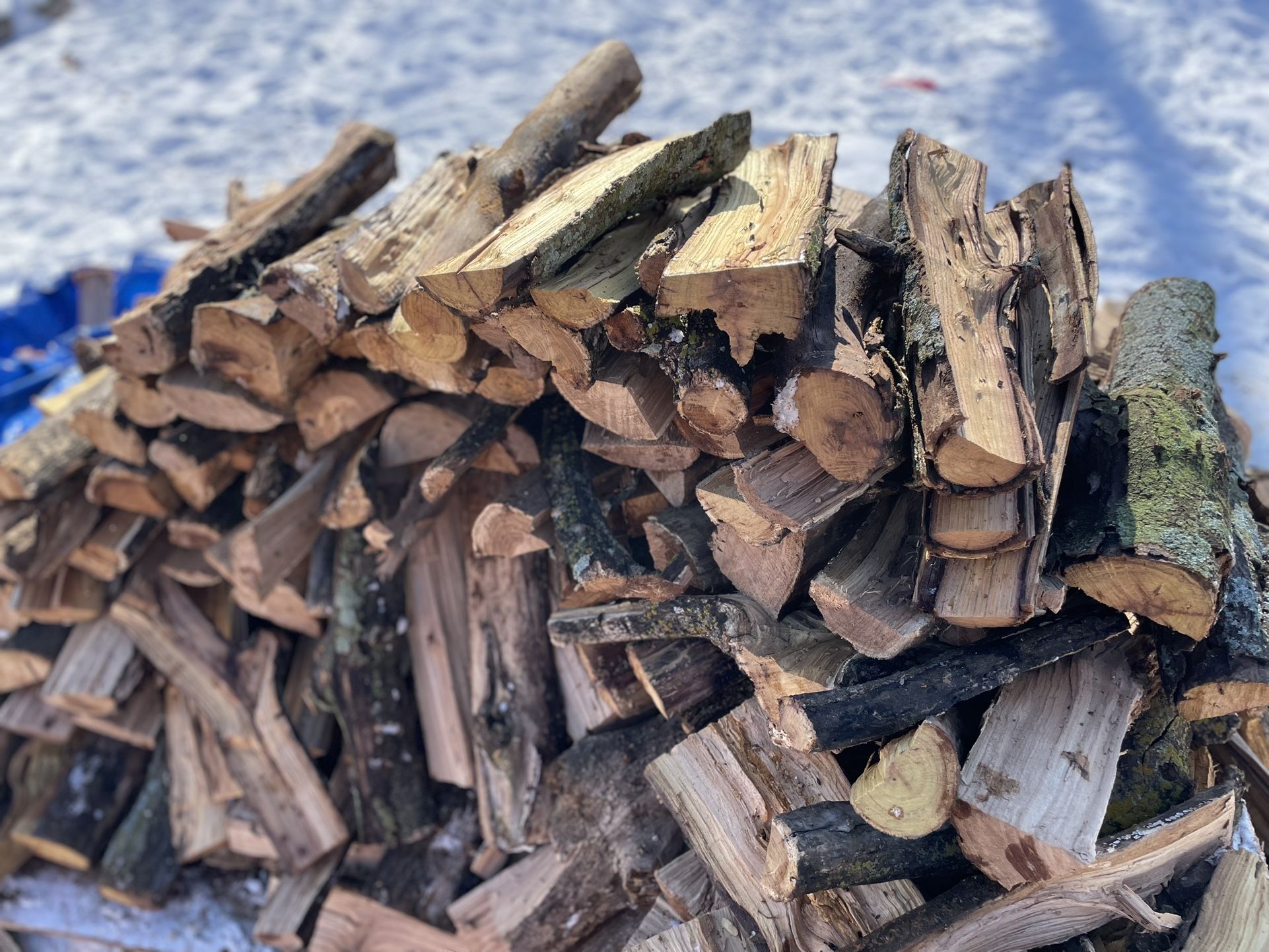 Firewood