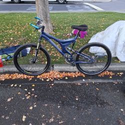 2004 26in Specialized Comp Enduro