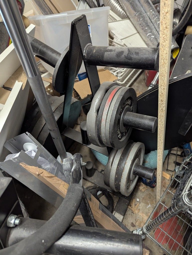 Olympic barbell, weights, tree, dumbell