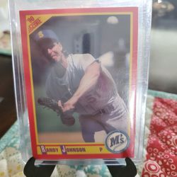 Randy Johnson Baseball Cards Lot 