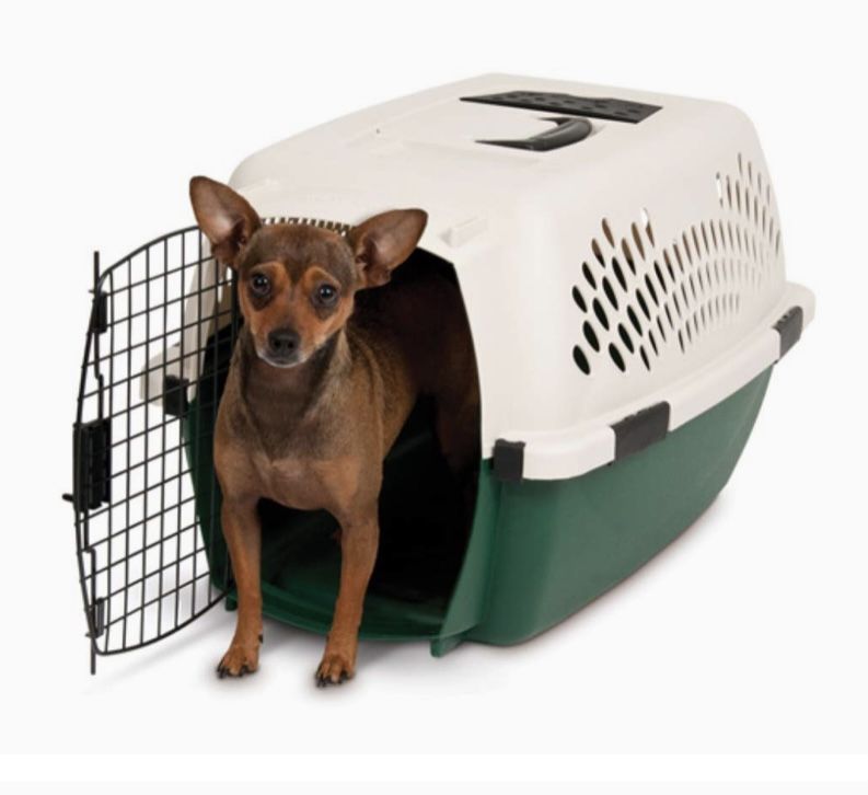 Petmate Pet Taxi Pet Carrier