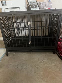 Dog House