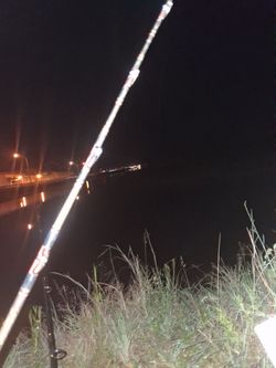 Trolling rod and reel
