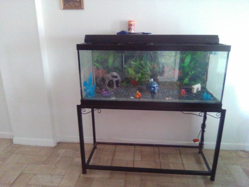 Fish Tank For Sale 