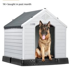 Dog House 