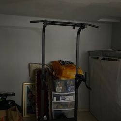 Pull Up Dip Station
