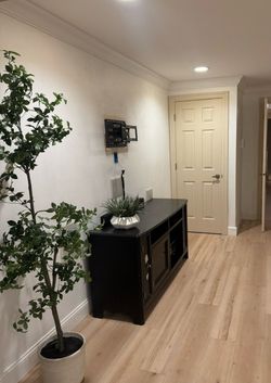 Free media console cabinet