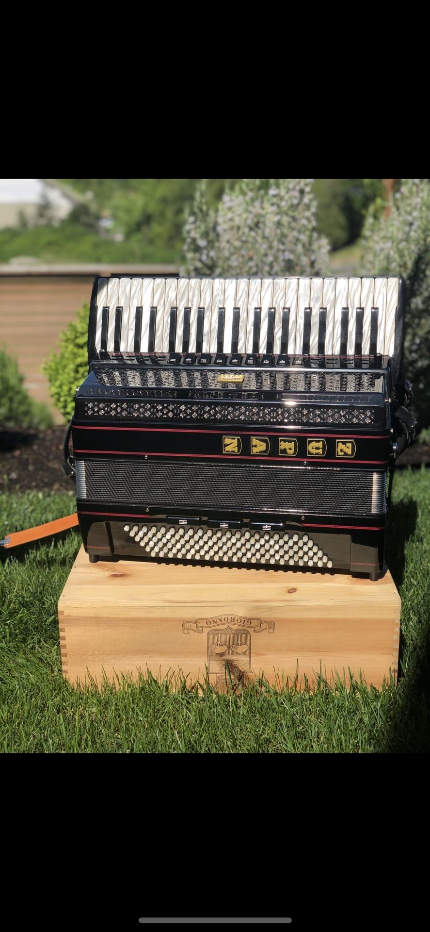 Zupan Alpe IV Accordion for Sale in Edgewood, WA - OfferUp