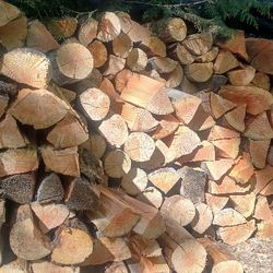 Ready To Burn Firewood