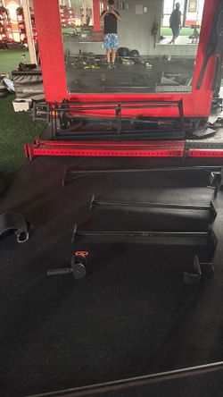 Full rogue rack with dip station
