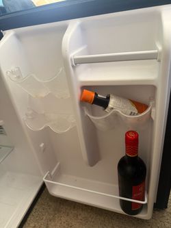 Mini Fridge with Door Shelves