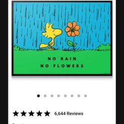 Peanuts - No Rain No Flowers Canvas