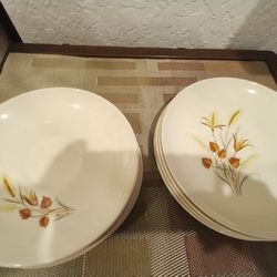 12 OF TAYLOR SMITH AND TAYLOR AUTUMN HARVEST  Plates For Only $10. 