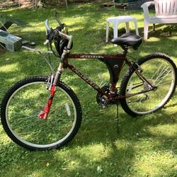 Pacific 21 Speed