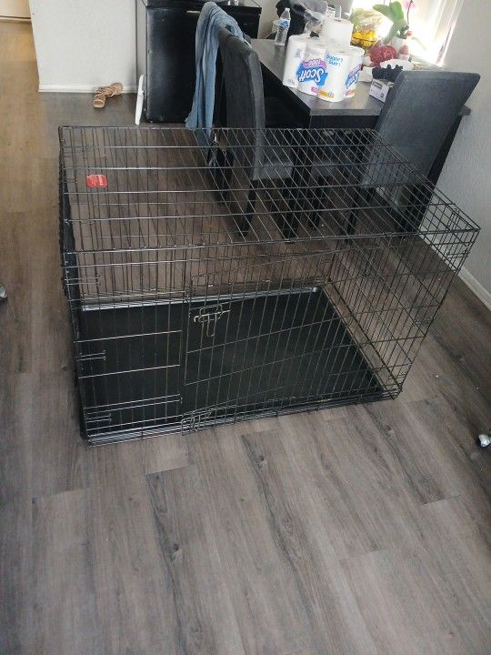 Dog Cage