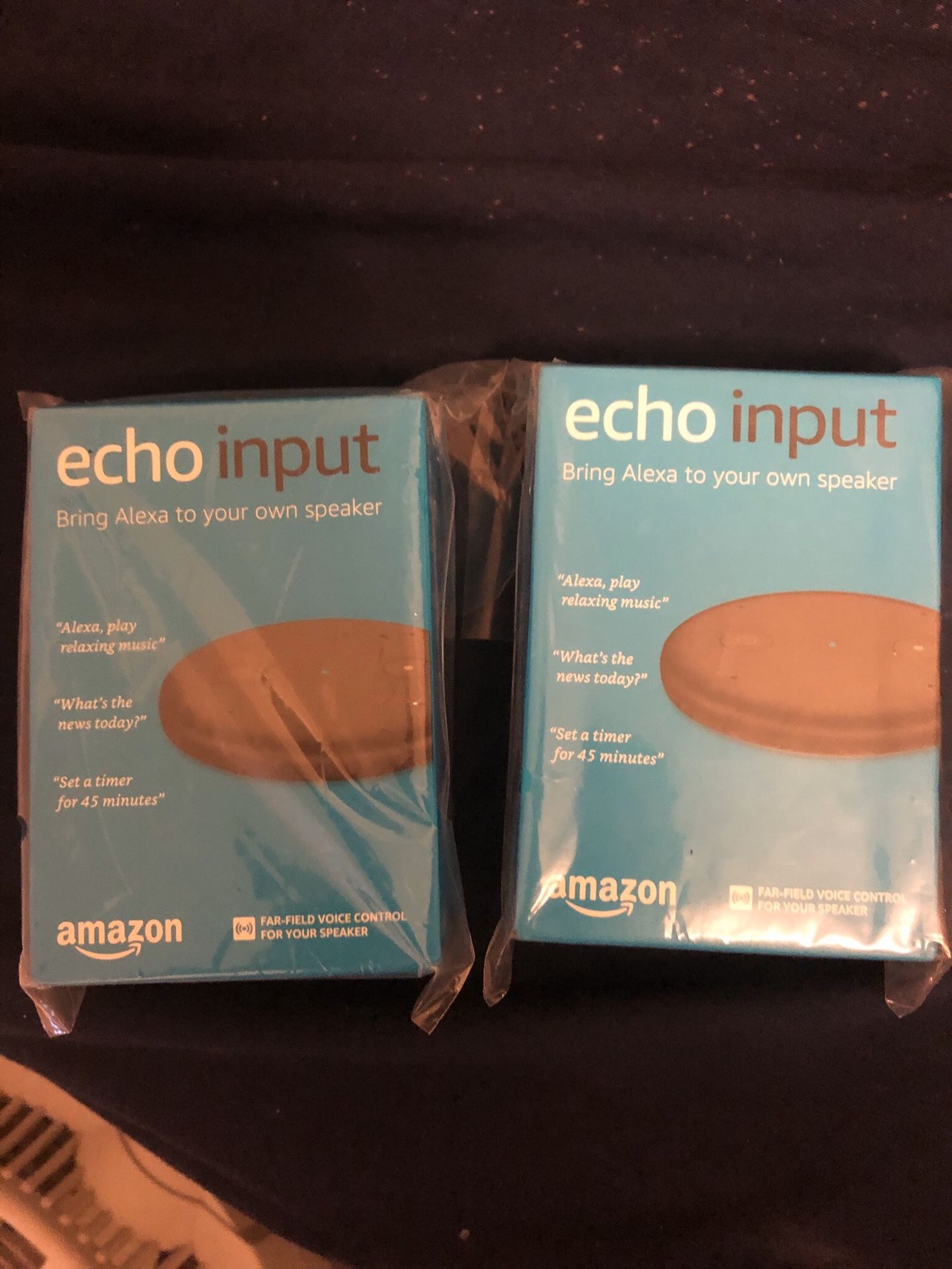 Amazon Echo Input