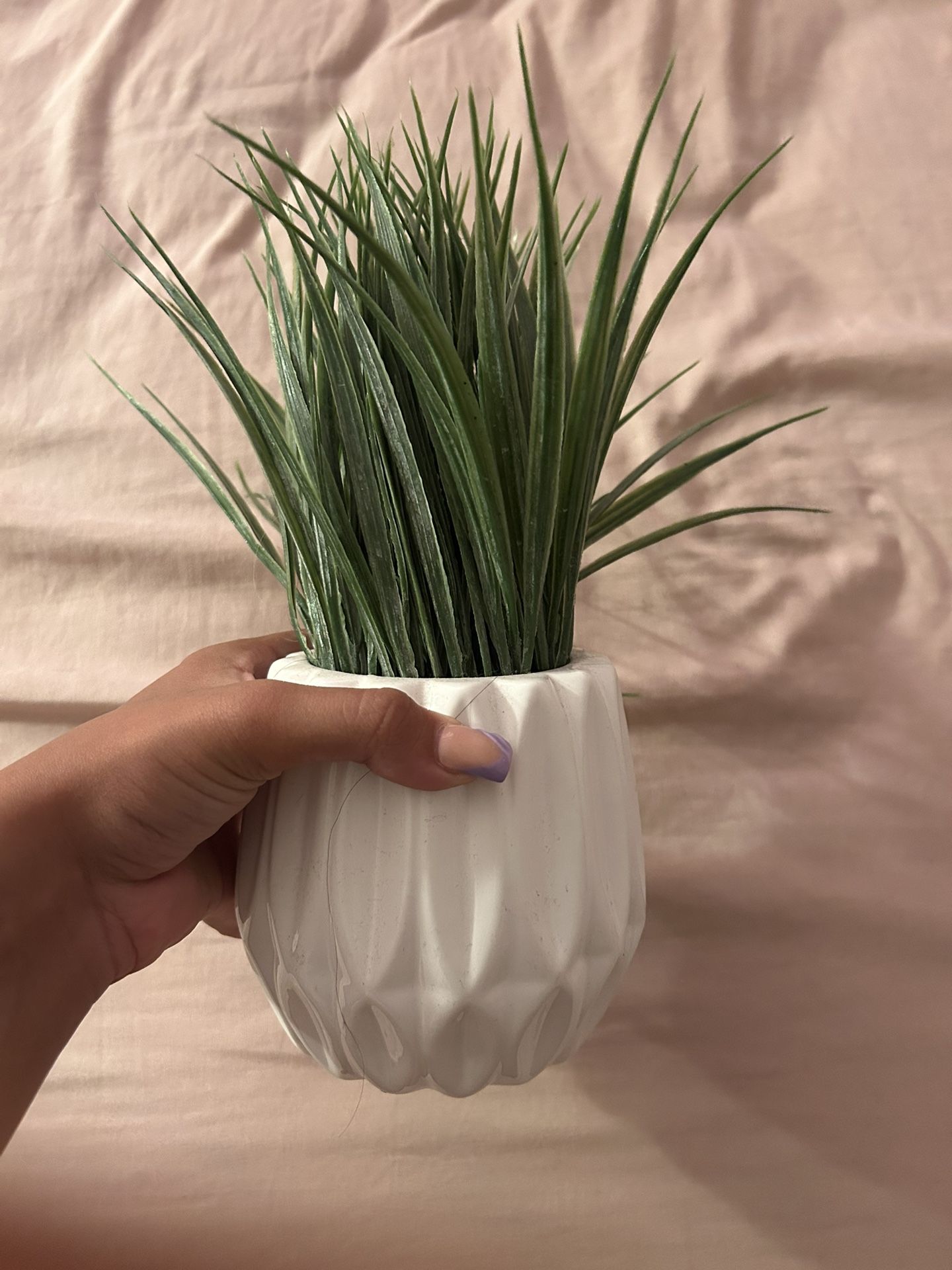 Plant Fake