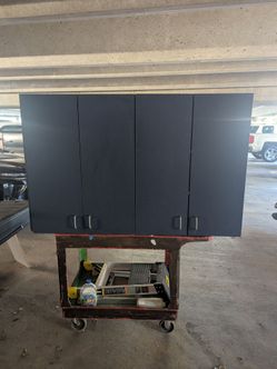 Large heavy duty cabinet for mounting on wall