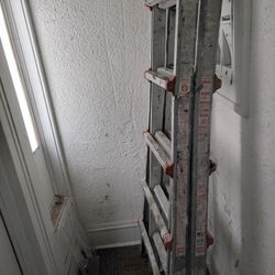 Little Giant Ladder 