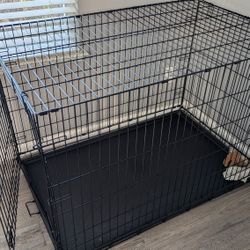Large Crate For Sale