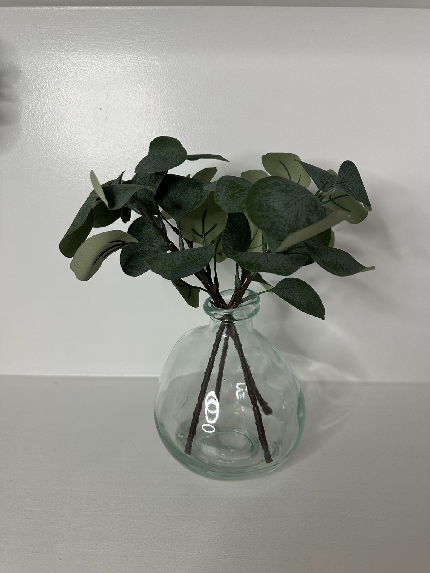 Eucalyptus Glass Vase