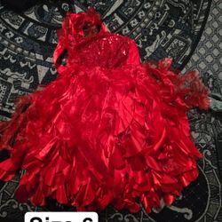 Girl's Costume