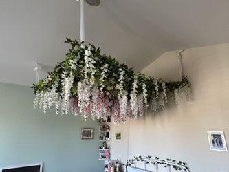 5’x6.5’ hanging flower canopy with lights
