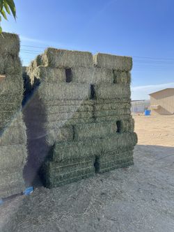Hay/alfalfa