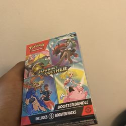 Pokémon Journey Together 