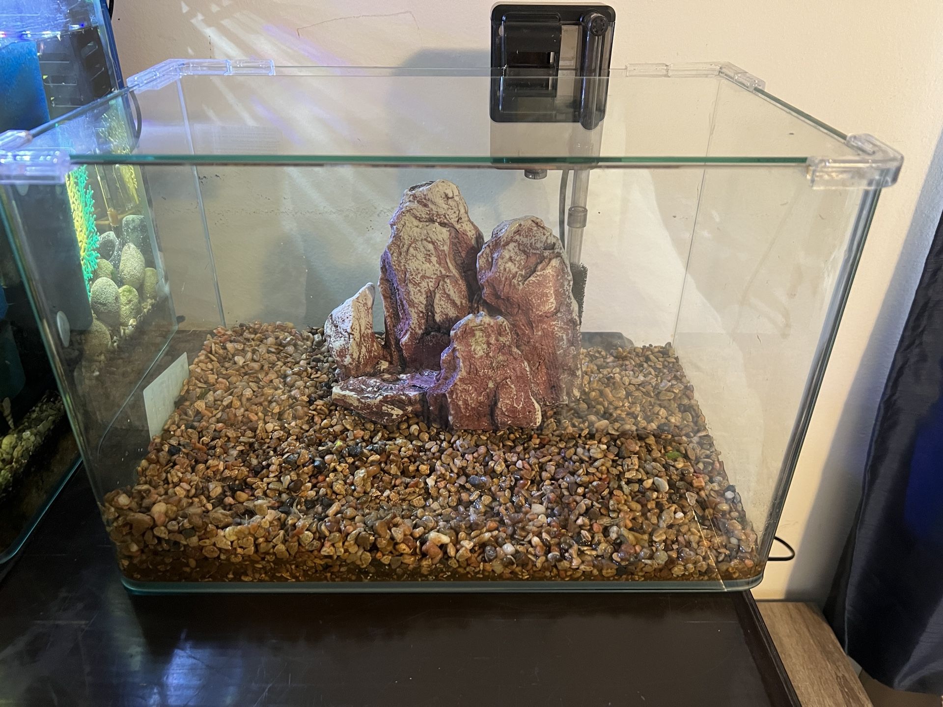 8 Gallon Fish Tank Set!