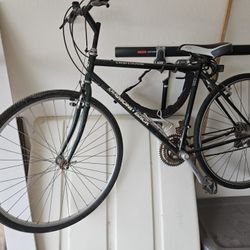 Adult Bike 