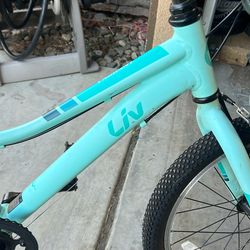 Liv Girls Mountain Bike
