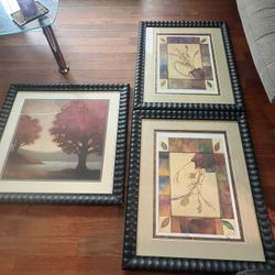 Picture Frames 