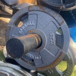 10 Lbs Plates